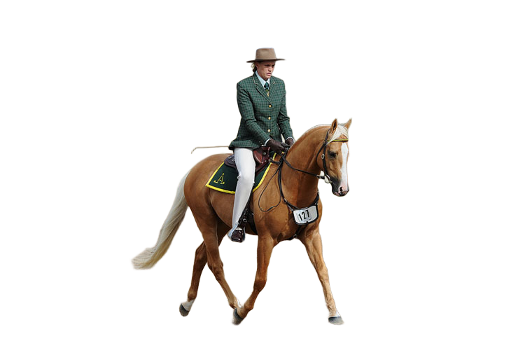 The same rider on a palomino horse with the background removed