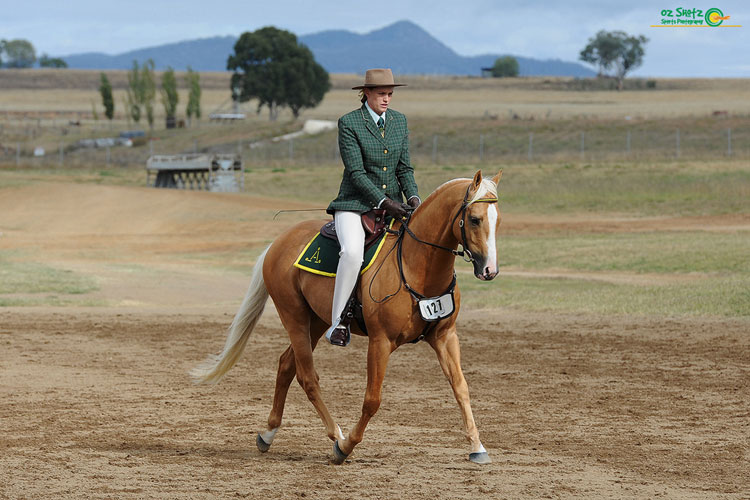 A rider on a palomino horse, before the background is removed