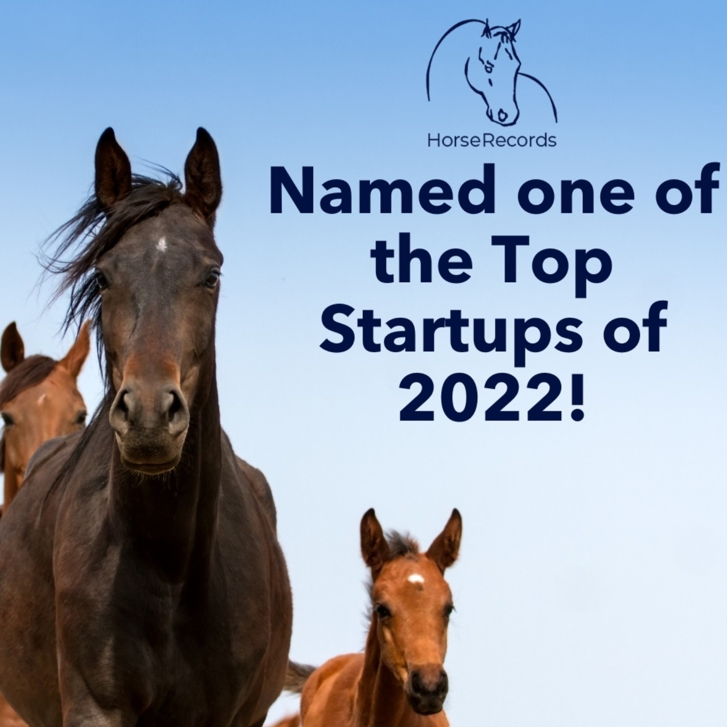 Top Startups of 2022